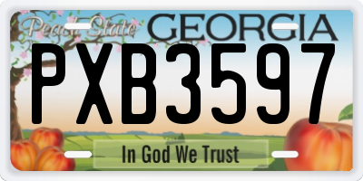 GA license plate PXB3597