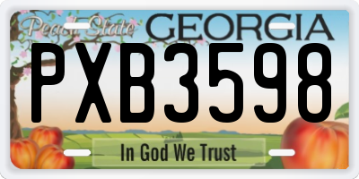 GA license plate PXB3598