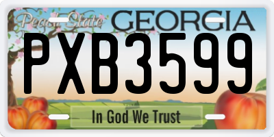 GA license plate PXB3599