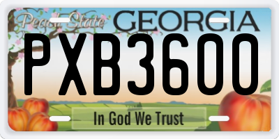 GA license plate PXB3600