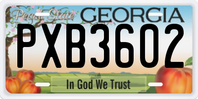 GA license plate PXB3602