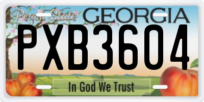 GA license plate PXB3604
