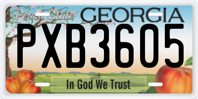 GA license plate PXB3605