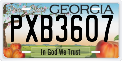GA license plate PXB3607