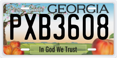 GA license plate PXB3608