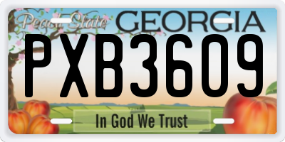 GA license plate PXB3609