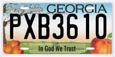 GA license plate PXB3610
