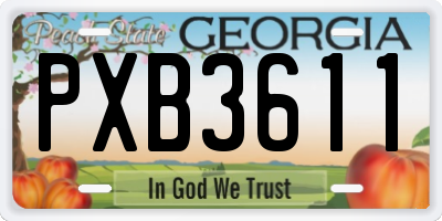 GA license plate PXB3611