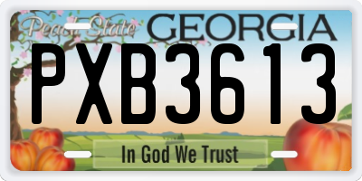 GA license plate PXB3613