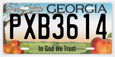 GA license plate PXB3614