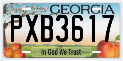 GA license plate PXB3617