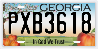 GA license plate PXB3618