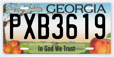 GA license plate PXB3619