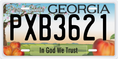 GA license plate PXB3621