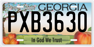GA license plate PXB3630