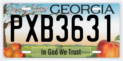 GA license plate PXB3631