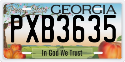 GA license plate PXB3635