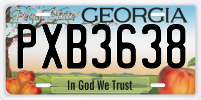 GA license plate PXB3638