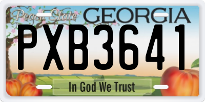 GA license plate PXB3641