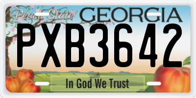 GA license plate PXB3642