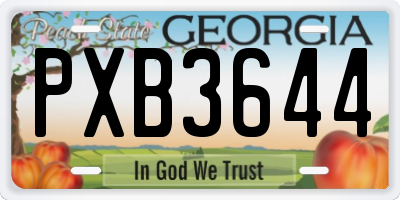 GA license plate PXB3644