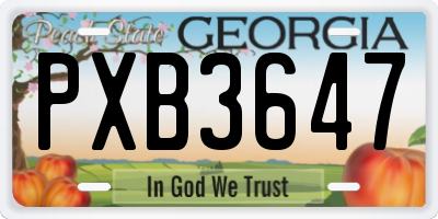 GA license plate PXB3647