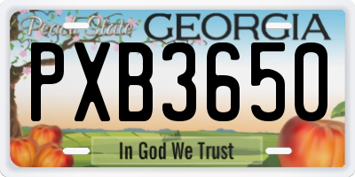 GA license plate PXB3650
