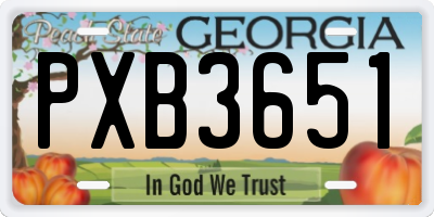 GA license plate PXB3651