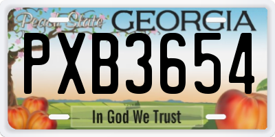GA license plate PXB3654