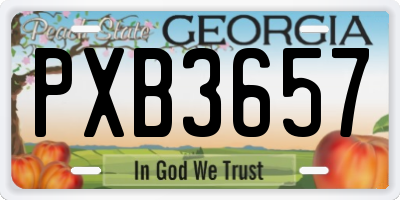 GA license plate PXB3657