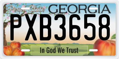 GA license plate PXB3658