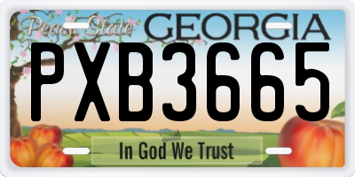 GA license plate PXB3665