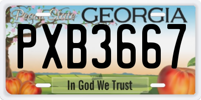 GA license plate PXB3667