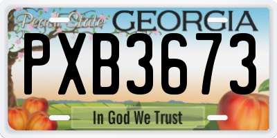 GA license plate PXB3673