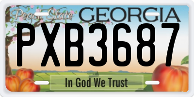 GA license plate PXB3687