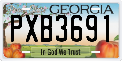 GA license plate PXB3691