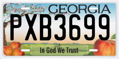 GA license plate PXB3699