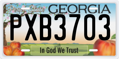 GA license plate PXB3703