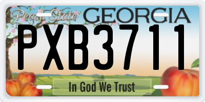 GA license plate PXB3711
