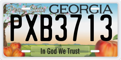 GA license plate PXB3713