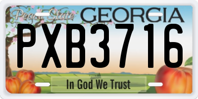 GA license plate PXB3716