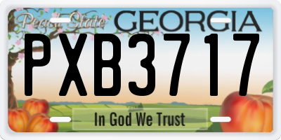 GA license plate PXB3717