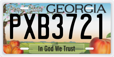 GA license plate PXB3721
