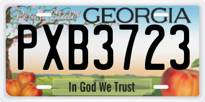 GA license plate PXB3723