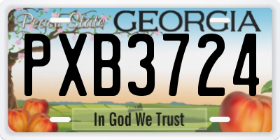 GA license plate PXB3724