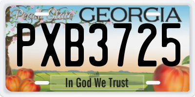 GA license plate PXB3725