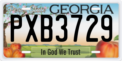 GA license plate PXB3729
