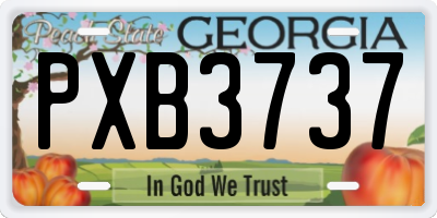 GA license plate PXB3737