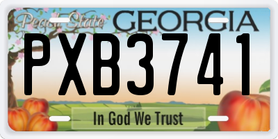 GA license plate PXB3741