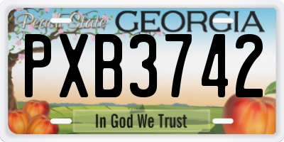GA license plate PXB3742